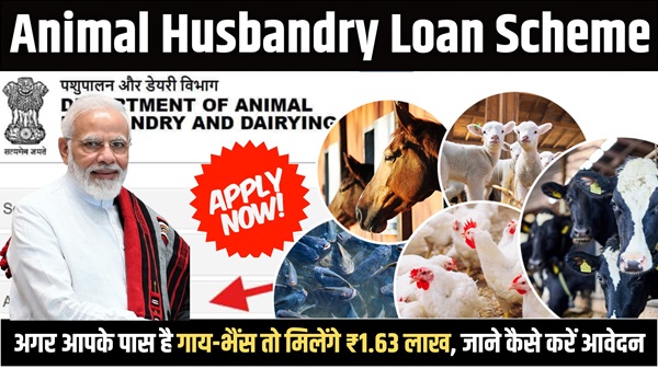 Animal Husbandry 2024