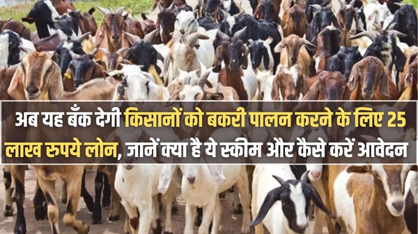 Goat Farming Apply Loan