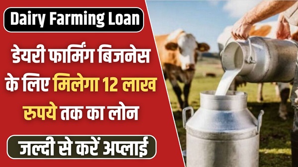 Dairy Farm Apply Loan